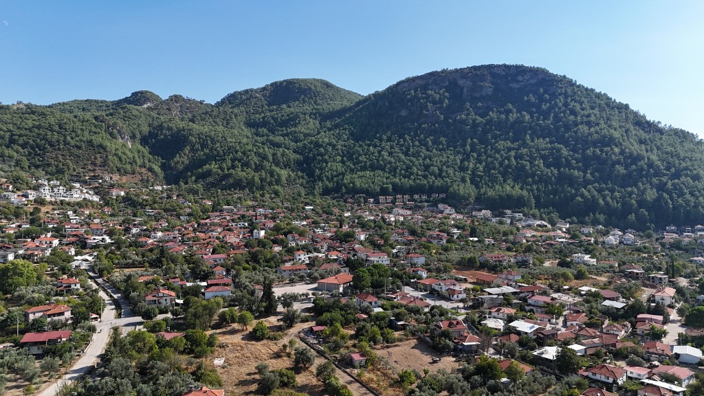 Üzümlü